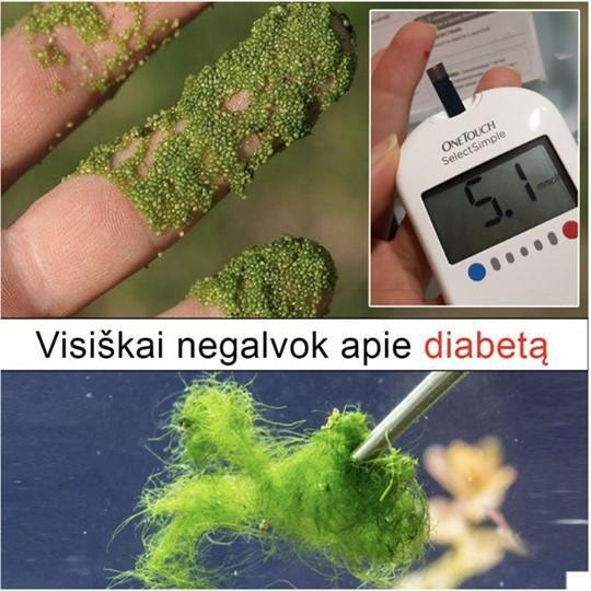 gerą širdies sveikatos priežiūrą