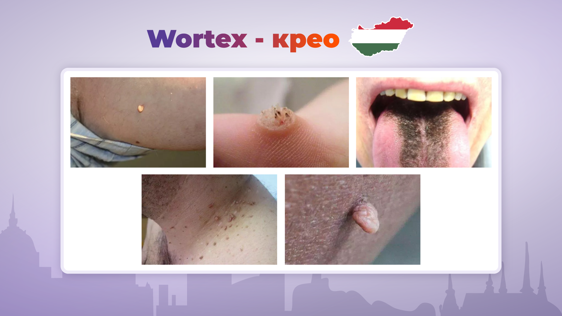 особенности гео и топовые офферы для твоего профита