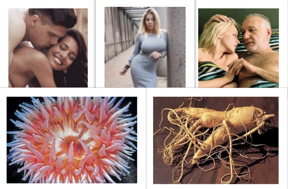 ТОП-5 профитных офферов недели – Бурж